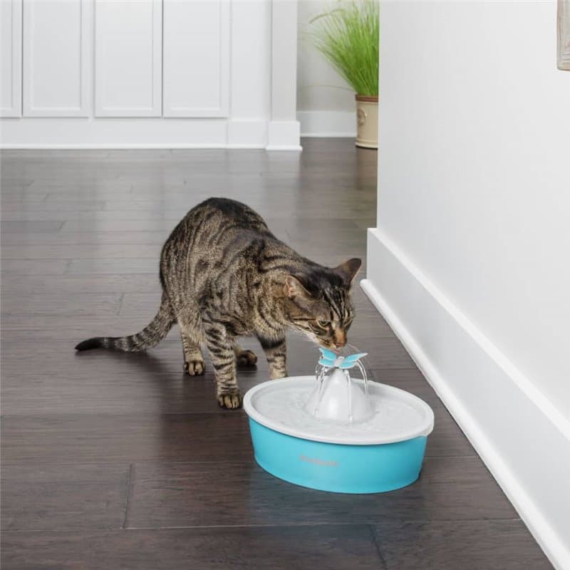 Fontaine pour Animaux de Compagnie PetSafe Butterfly 1,5 L