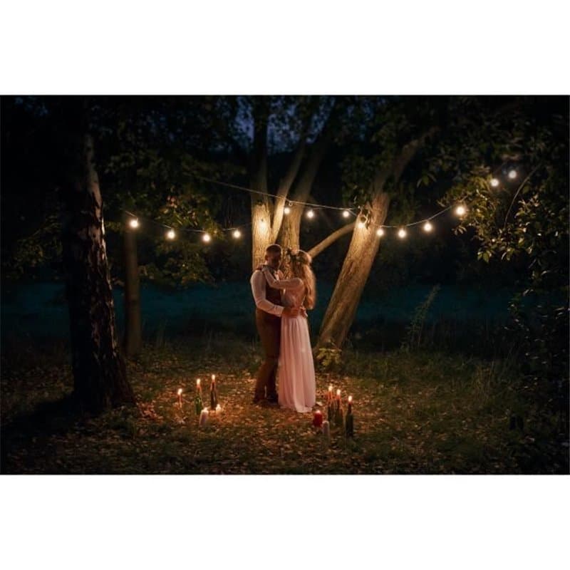 Guirlande lumineuse LED Lumisky Noir Moderne (1 Unité)