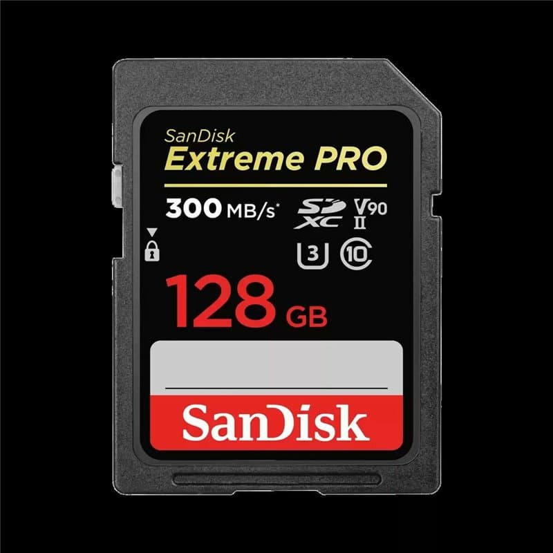 Carte Mémoire SDXC SanDisk SDSDXDK-128G-GN4IN SDXC UHS-II