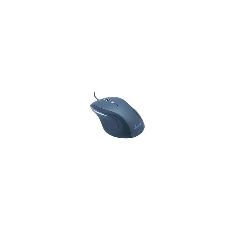 MediaRange MROS202 souris Bureau Droitier USB Type-A Optique 2400 DPI