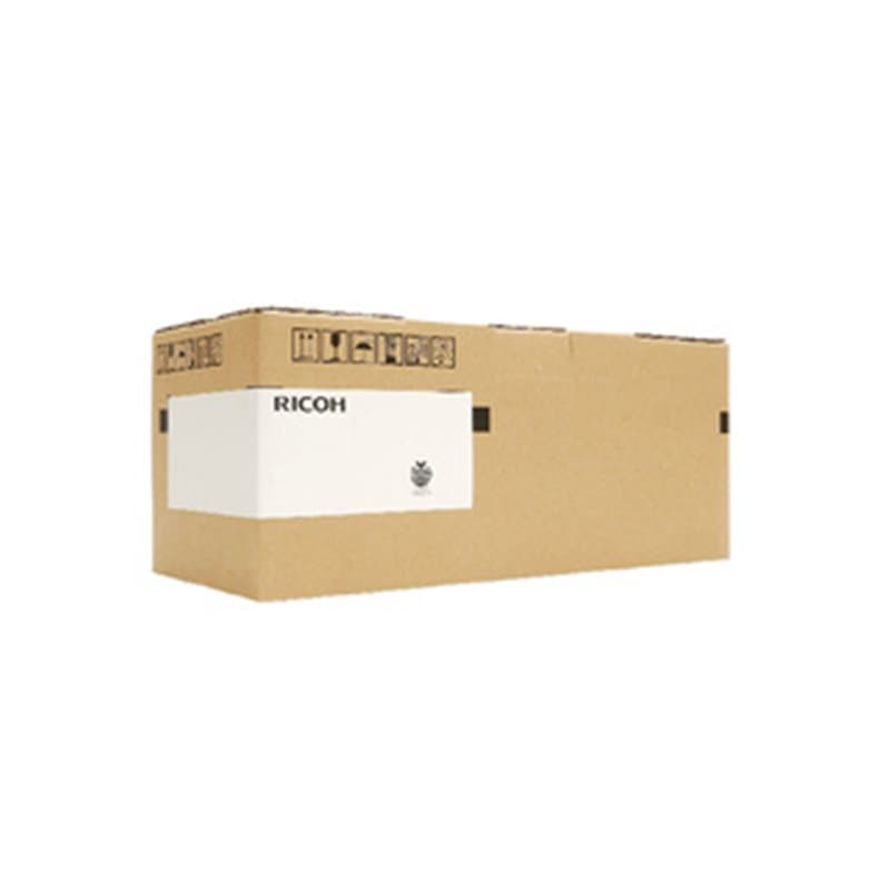 Ricoh D1979641 imprimante de développement 120000 pages