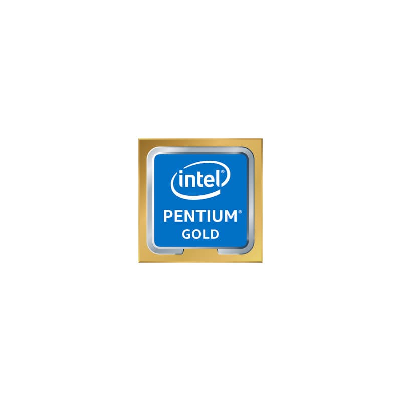Intel Pentium Gold G6500 processeur 4,1 GHz 4 Mo Smart Cache Boîte