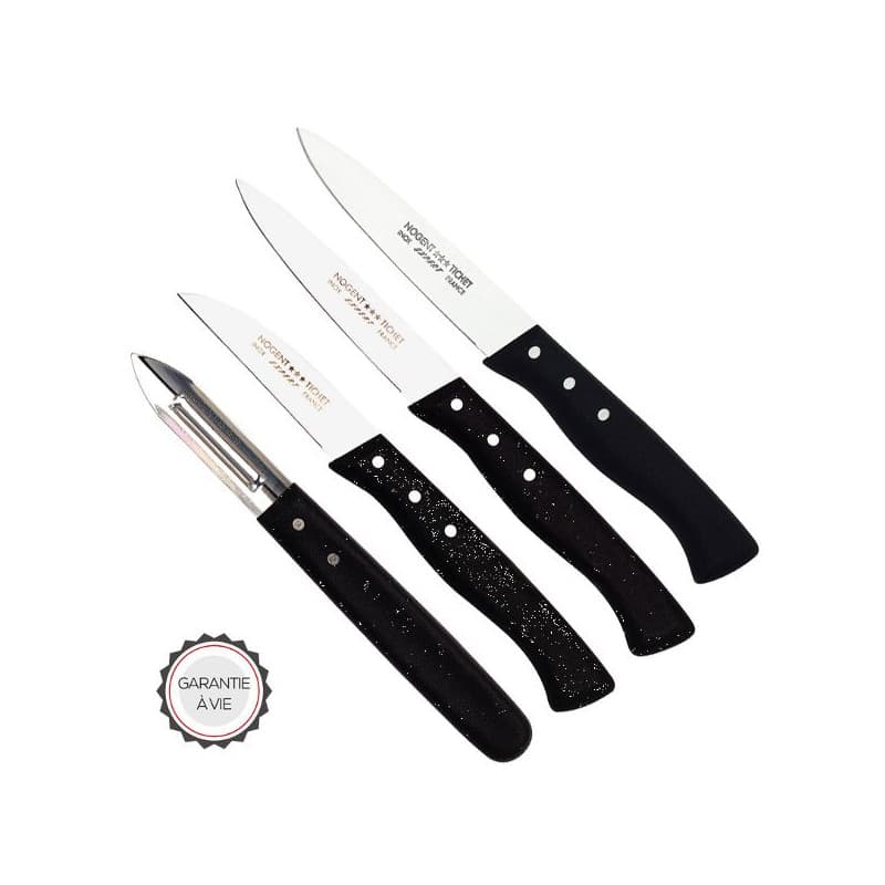NOGENT COFFRET DE 4 COUTEAUX OFFICE EXPERT POLYPRO NOGENT - 00087V
