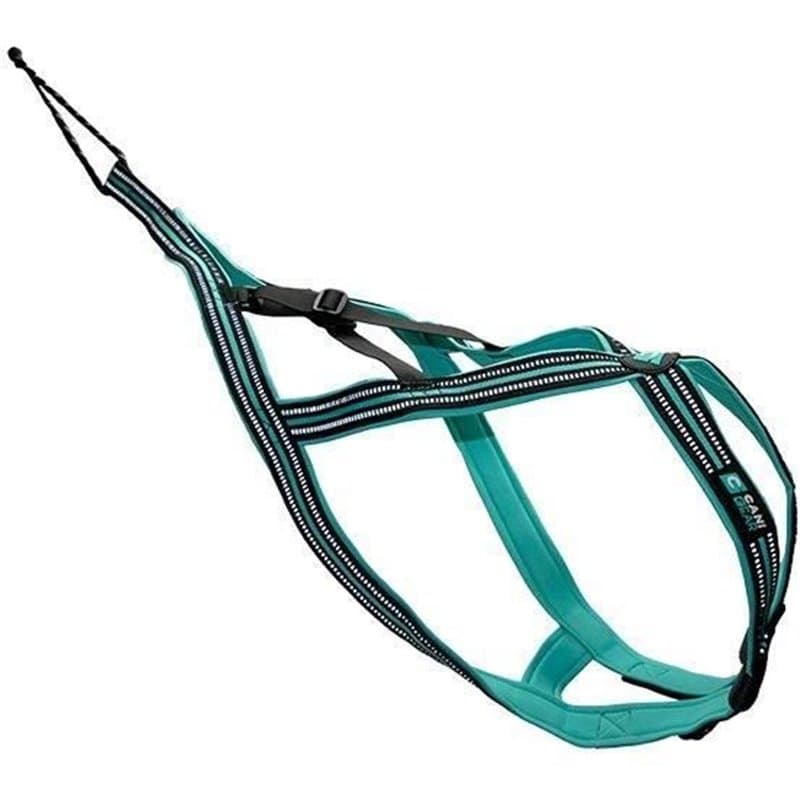 Harnais de traction pour chien - OLYMPIA - XL - Type X-back - Bleu