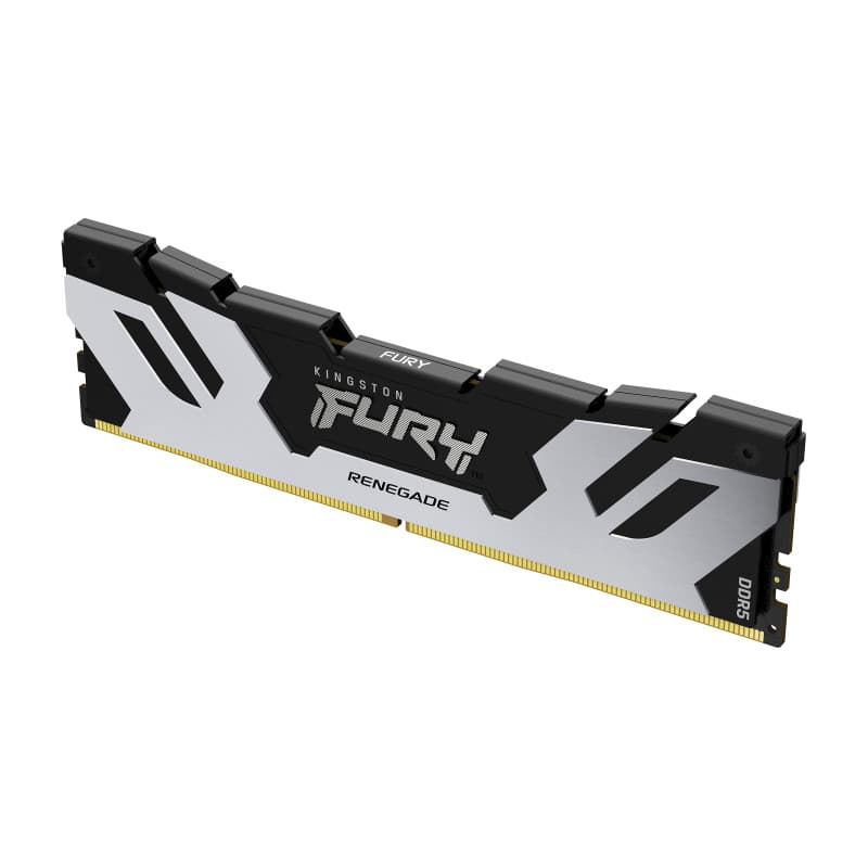 Kingston Technology FURY 32 Go 6400 MT/s DDR5 CL32 DIMM Renegade Silver XMP
