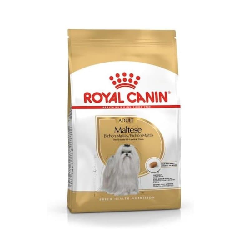 Royal Canin Maltese Adult | 500 g | Croquettes pour Maltais Adultes | pour Soutenir Le Pelage et la Digestion | pour Les Chiens