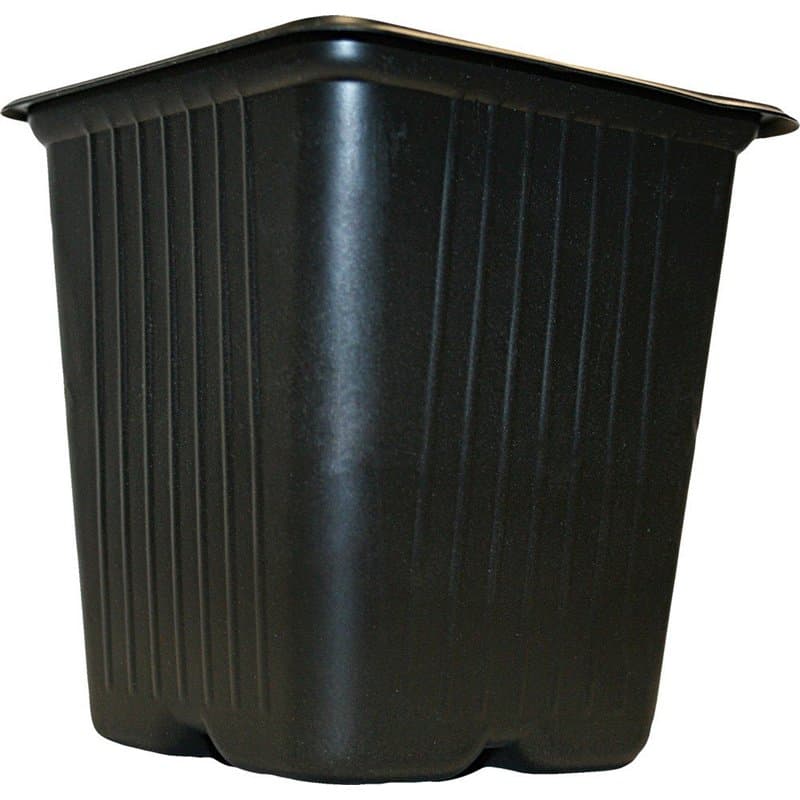 Vilmorin 3990612 Lot de 5 Bols carrés en Plastique 11 cm
