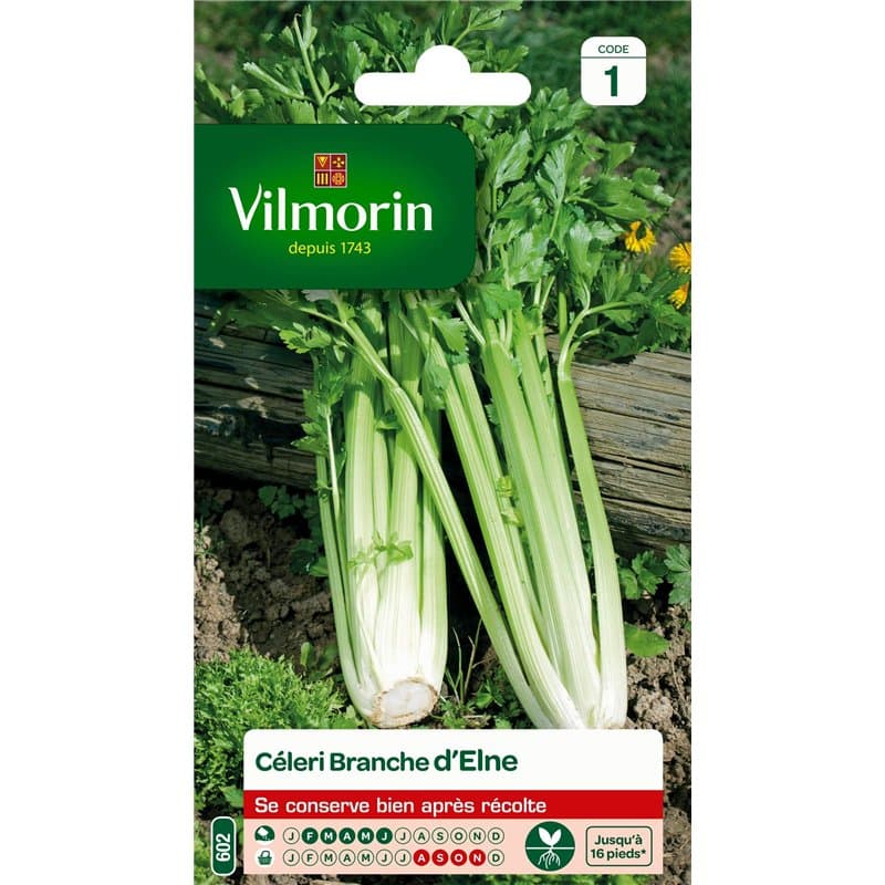 VILMORIN - Céléri Branche d'Elne - Fort rendement - Peu calorique et diététique - Excellente qualité gustative - côtes Rondes et