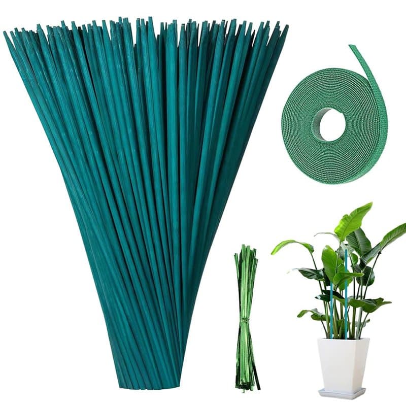 mizikuu 50 Pièces Tiges de Support pour Plantes, 38CM Stake de Plante en Bois Vert Tuteurs de Plantes avec 30 Yard Ruban de Papi