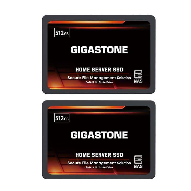 GIGASTONE Serveur SSD 512Go (Lot de 2) NAS SSD Cache 24h/24, 7j/7 TLC Haute Endurance Business Secure Personal Cloud Créatif Pro