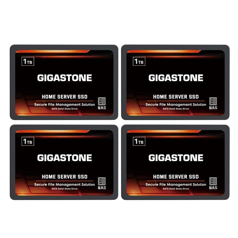 Gigastone Serveur SSD 1To (Lot de 4) NAS SSD Cache 24h/24, 7j/7 TLC Haute Endurance Business Secure Personal Cloud Créatif Profe