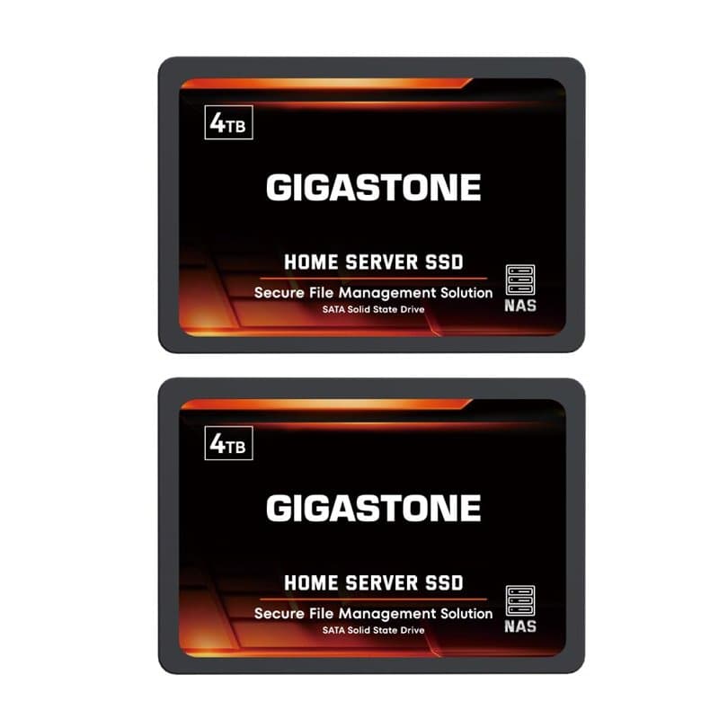 Gigastone Serveur SSD 4To (Lot de 2) NAS SSD Cache 24h/24, 7j/7 Haute Endurance Business Secure Personal Cloud Créatif Professio