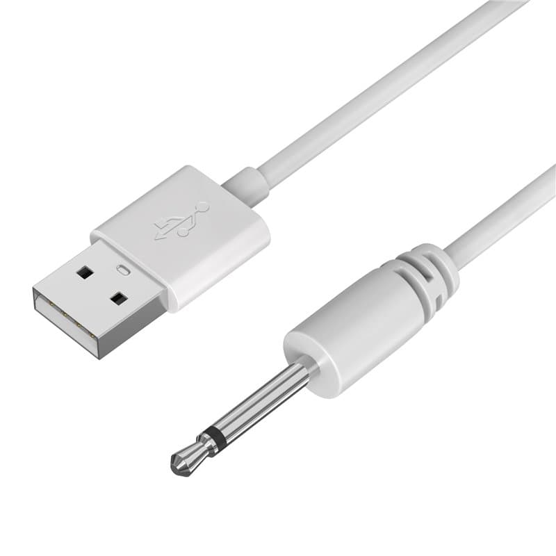 PHONILLICO Cable de recharge compatible Lovense Lush Hush Edge Osci - Câble 80 cm Embout tige 18mm diamètre 2,5mm