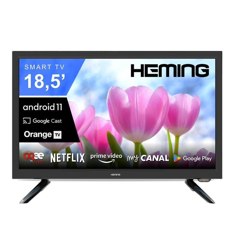 Heming Smart TV 18,5" (47 cm) Android Connecté WiFi avec Bluetooth - 12V/24V/220V - Camping Car Camion Fourgon Poids Lourd Carav