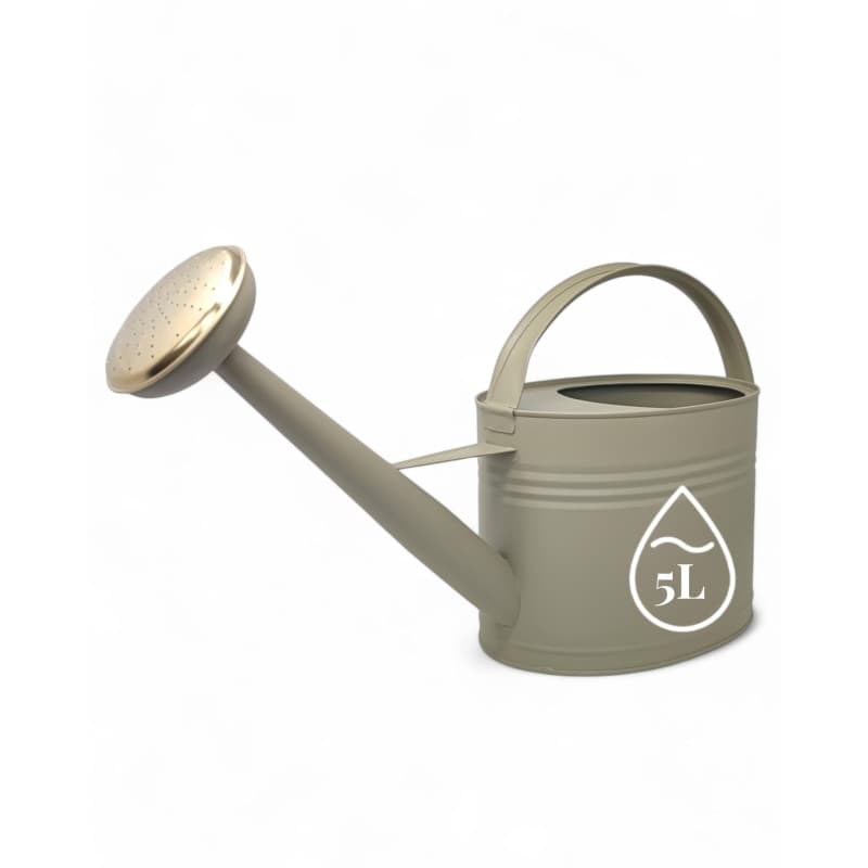 LIVLIG Arrosoir 5 litres en métal, embout d'arrosoir amovible, arrosoir zinc 5 l, arrosoir pour balcon et jardin, arrosoir vinta