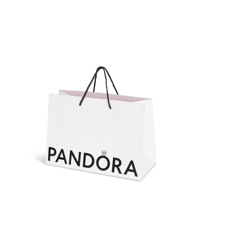 PANDORA Sac moyen écologique pour bijoux : bagues, bracelets, pendentifs, boucles d'oreilles et breloques (21,5 x 16 x 8 cm) (1)