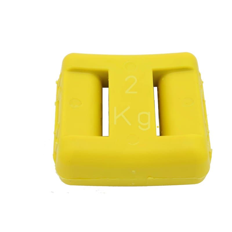 Fonderia Roma, Lot de 1 Ballast sous plastifié Jaune 2 kg