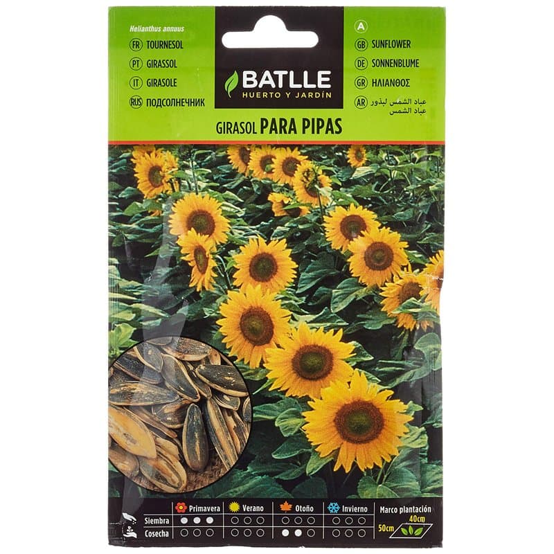 Graines aromatiques de Batlle - Tournesol (Seeds - 30cm), Blanche