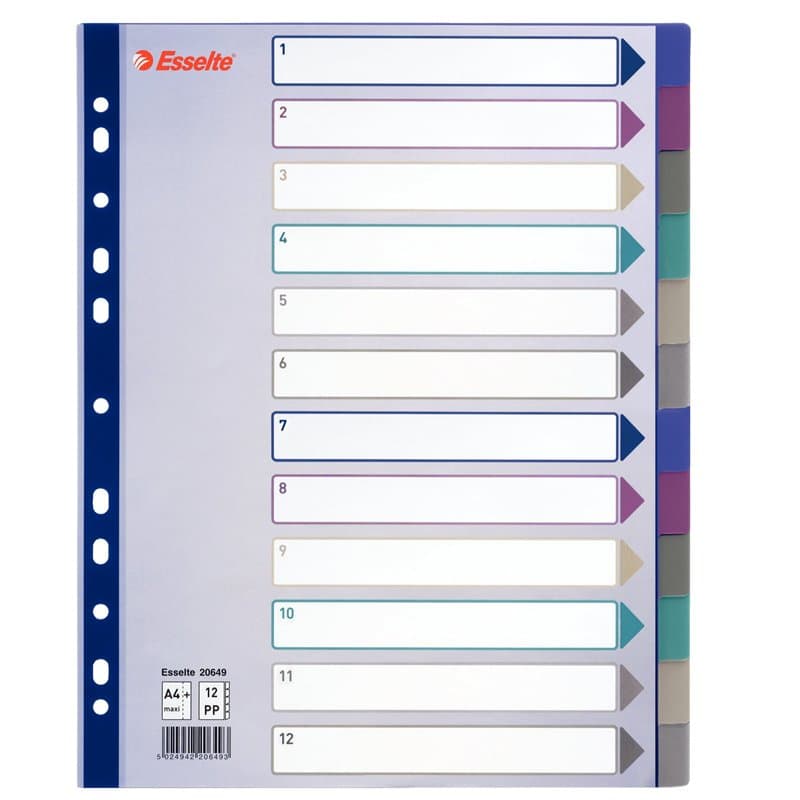 Esselte Intercalaires, 12 Onglets, A4, Plastique Résistant, Multicolore, 20649