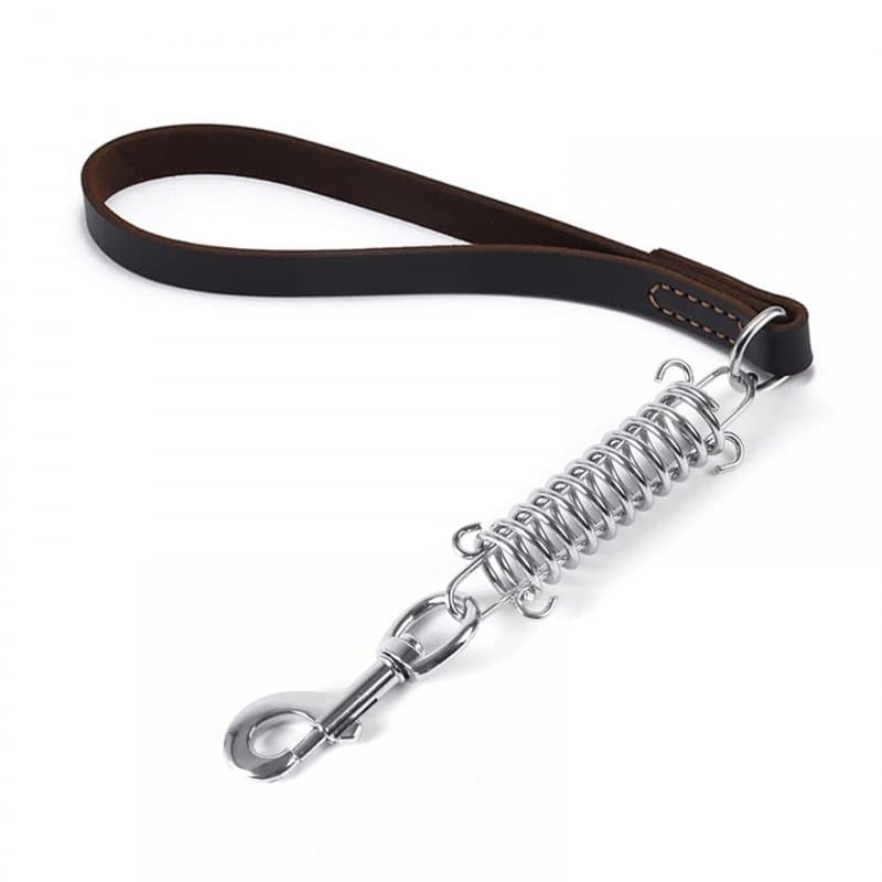 Laisse Courte pour Chien, Corde de Traction en Cuir Rétractable pour Chien avec Ressort en Acier Inoxydable pour Petits, Moyens
