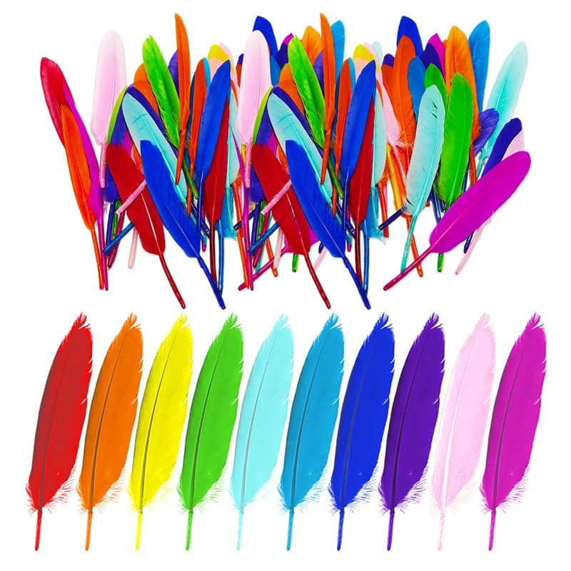 GTYHH 100 Pièces De Plumes Colorées, Plumes pour L'Artisanat, Matériaux De Décoration DIY, Peuvent Être Utilisées pour Fabriquer