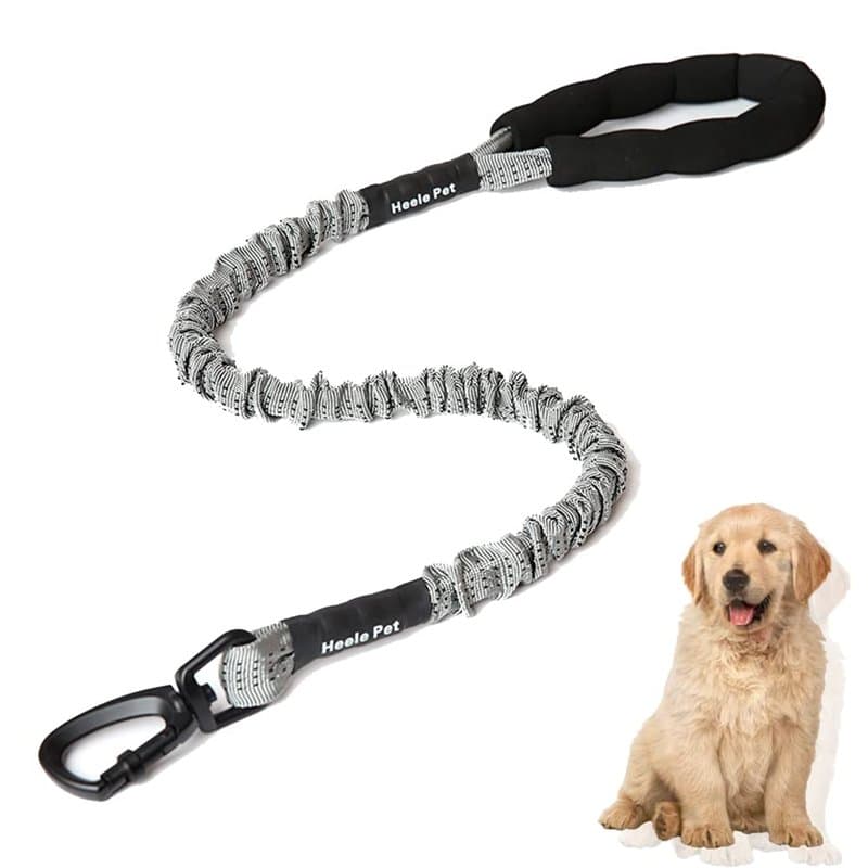 WDDT Laisse Chien Élastique, en Nylon, Corde Solide Anti Traction Grande Taille, Élastique pour Animaux Compagnie, avec Poignée