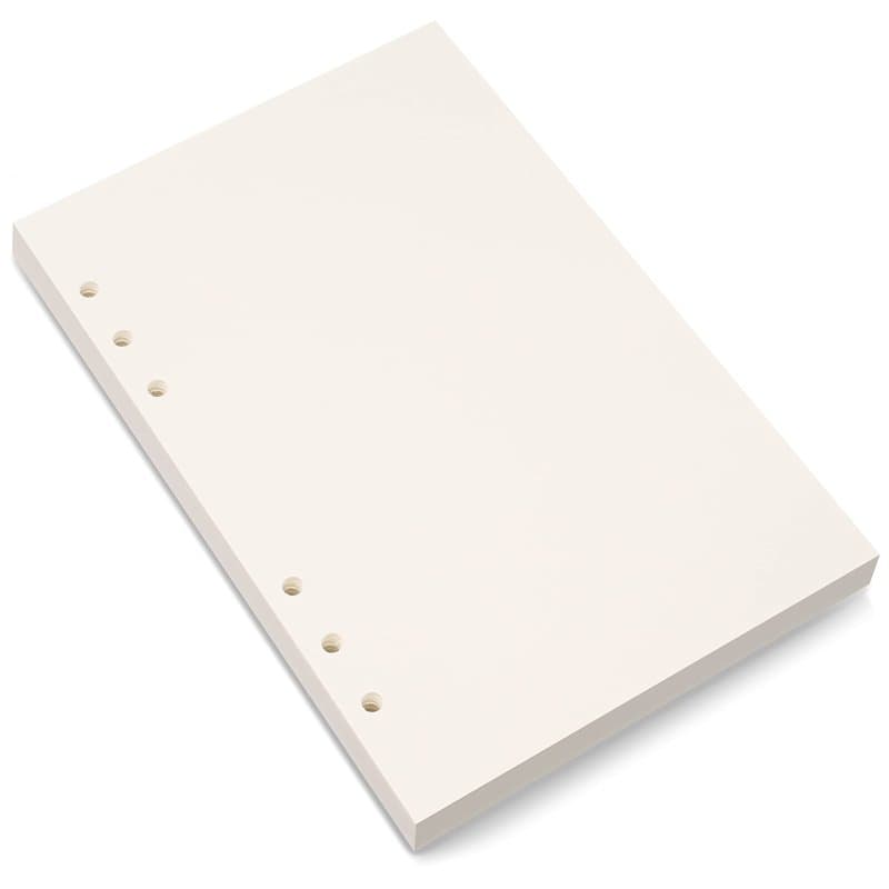 Bidponds Recharge de papier vierge A5, perforée à 6 trous, recharge de papier vierge pour agenda Filofax A5, 80 feuilles/160 pag