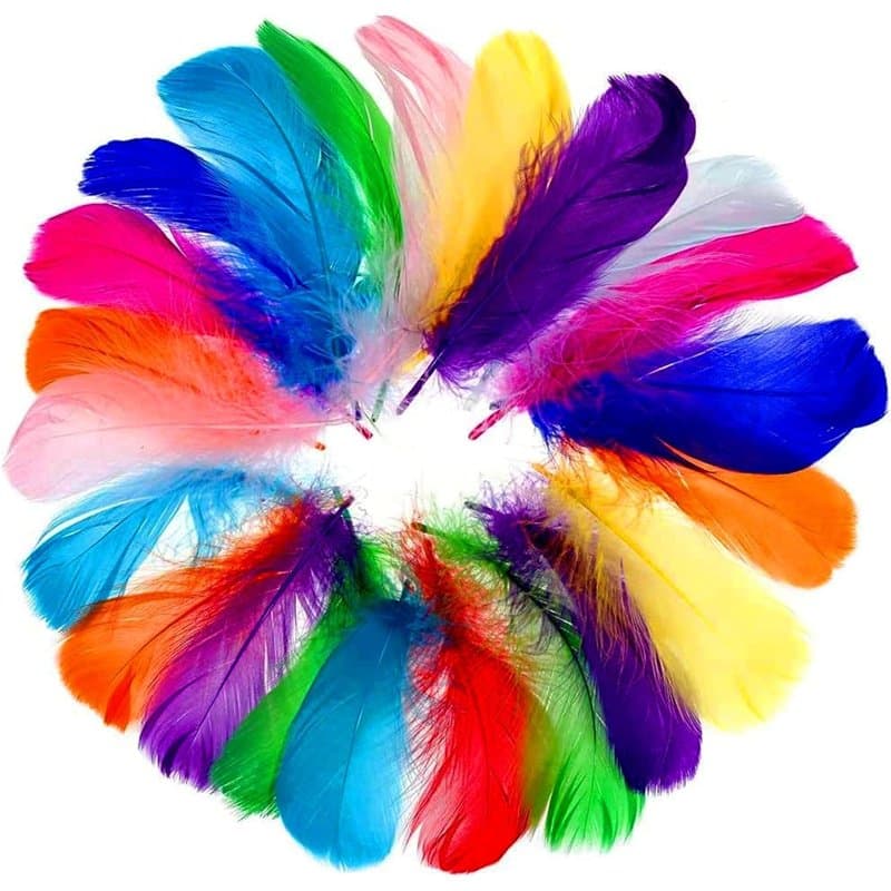 faburo 500pcs Plumes Colorées, Naturel Multicolore Plume Décoration pour DIY Arts Crafts, Costume, Chapeaux, Attrape-rêves Masqu