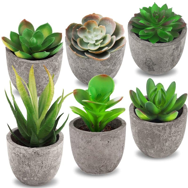 Frasheng 6 Pièces de Plantes Succulentes Artificielles en Pot,Petits Succulents,Plante Artificielle Interieur,Plantes Succulente