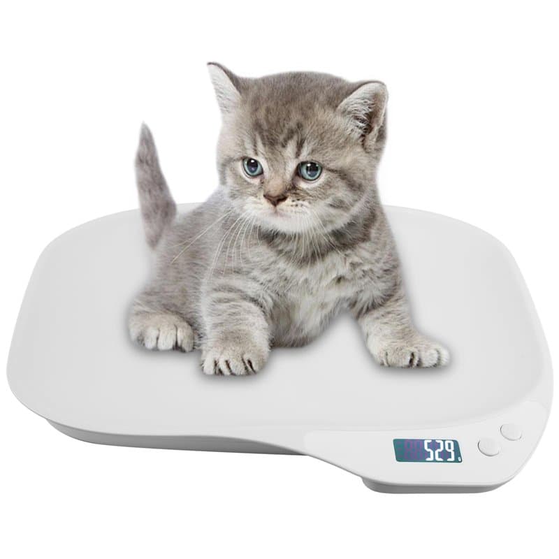 Balance numérique pour petits animaux, 15 kg (g/oz/lb/ml), pour légumes, fruits, cuisine, nourriture électronique, pesée pour ch