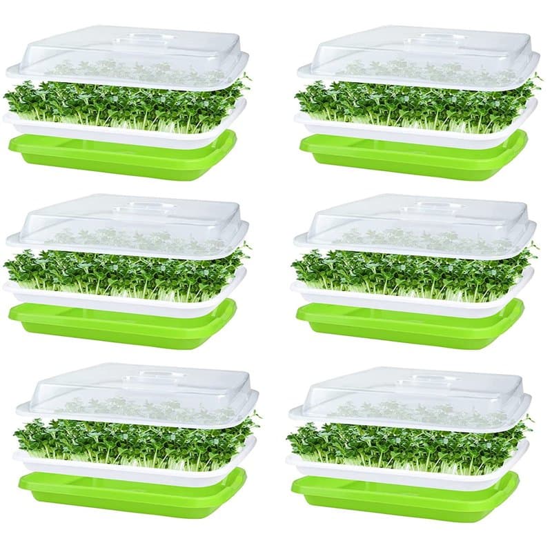 KAHEIGN 6 Pièces Plateaux De Germination De Graines avec Couvercle, 32cm x 26cm Plateau De Germination De Grande Capacité Sain s