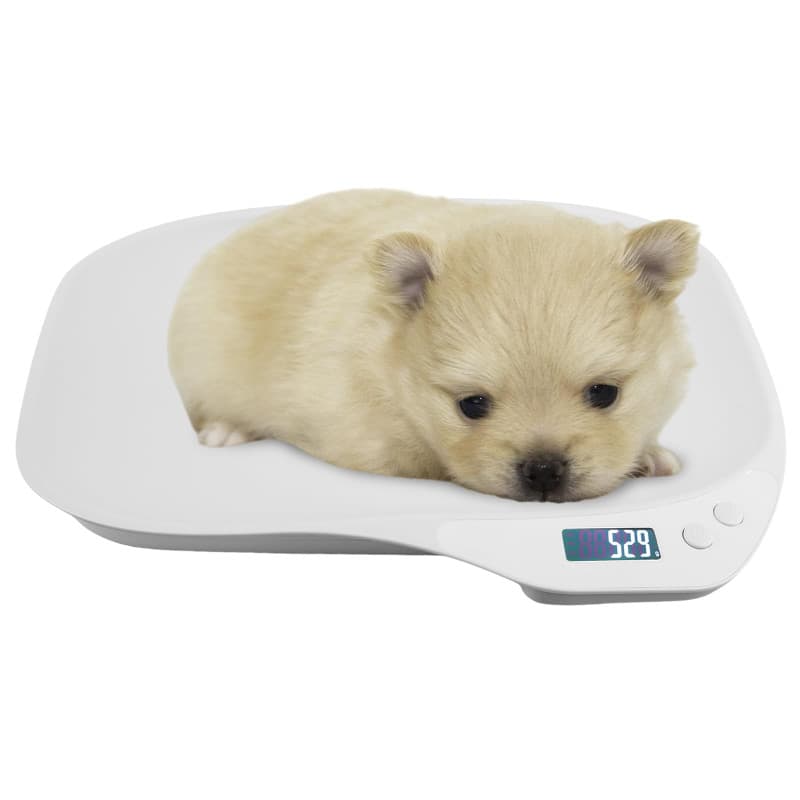 WIYETY Balance numérique pour petits animaux de compagnie : 15 kg (± 1 g) - Balance numérique LCD avec 4 modes de pesée (kg/oz/l