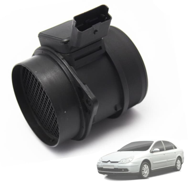 Twowinds - Débitmètre 5WK9628 Compatible avec Citroën C5, C8, Peugeot 406 607 806 807, Fiat Expert Ulysse Phedra - Débimetrè de
