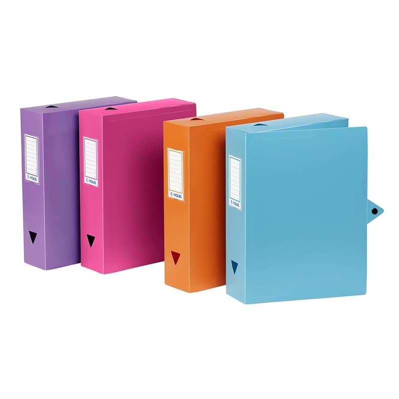 Viquel - Lot de 6 boites de classement en plastique - Lot 6 boites à archive fermeture bouton pression - Boites de rangement ass