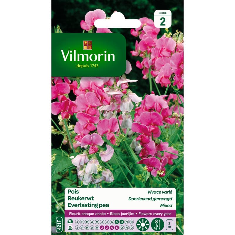 Vilmorin 5630142 Pois vivace varie Multicolore 9 x 0,5 x 16 cm