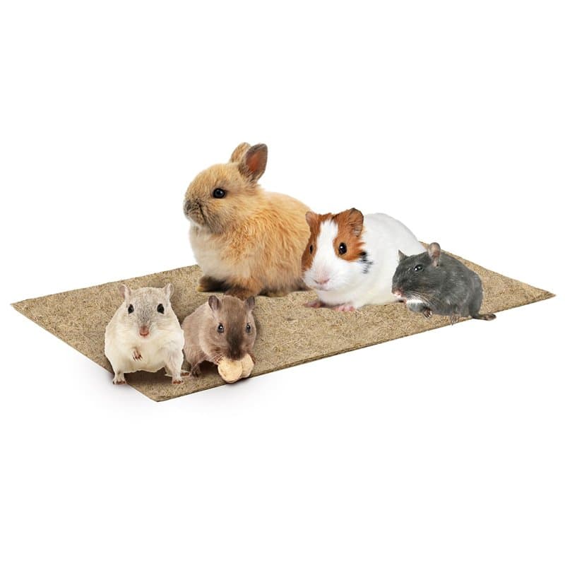 La Cordeline Lot 2 Tapis Litière Chanvre Naturel 25 x 40 cm 1000g/m²- Fond de Cage pour Rongeurs, Lapins, Hamster…