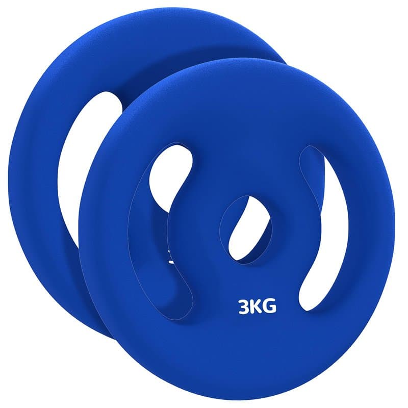 SPORTNOW Lot de 2 plaques de poids, 2 x 3 kg, disques d'haltères, pour barres Ø 2,5 cm, avec poignées faciles à saisir, pour la