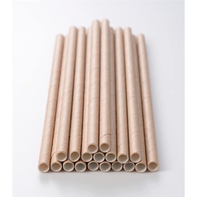 Paille Carton Kraft Biodégradable | Lot de 250 Pailles Jetables Droites 20 cm | Pailles Ecologiques | Recyclables et Compostable