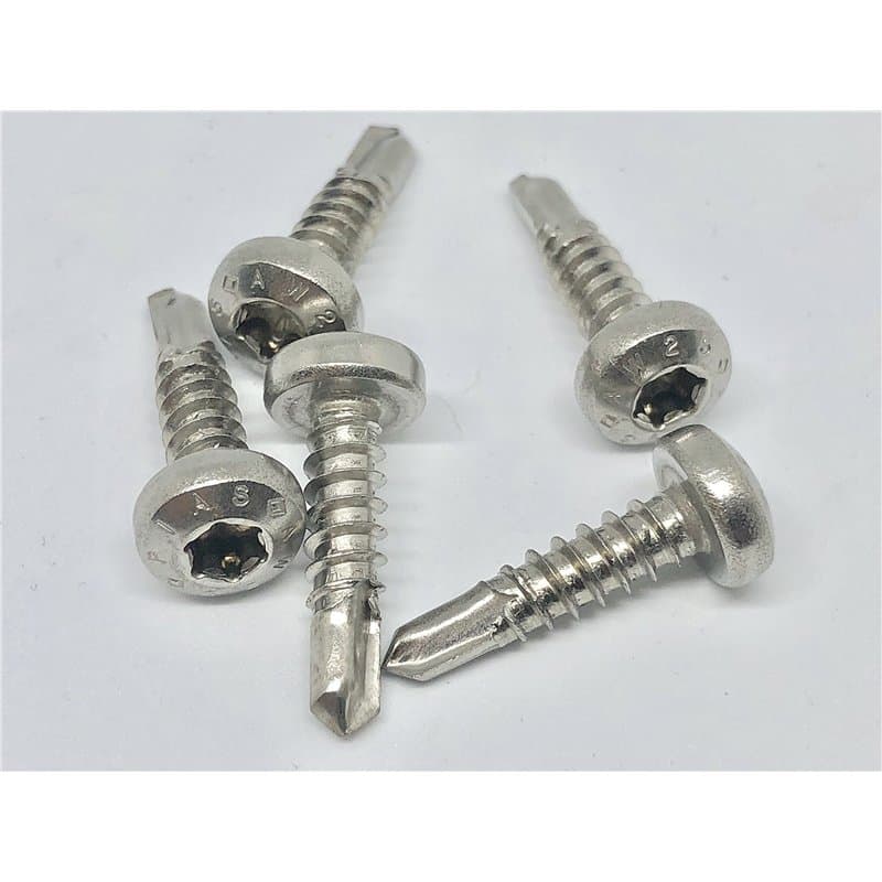 Lot de 100 vis auto-taraudeuses - 4,8 x 19 mm - En acier inoxydable A2 - Avec tête bombée - Auto-taraudeuse - DIN 7504 M TX 25 V