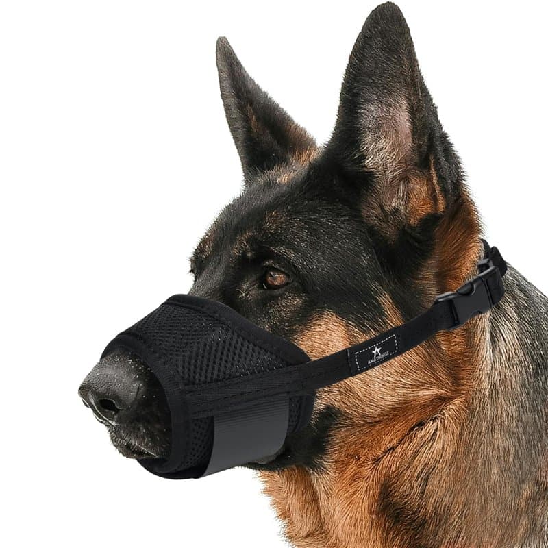 AMATHINGS Muselière en nylon pour chien - Taille M - Empêche les morsures, la mastication et les aboiements - Permet de haleter
