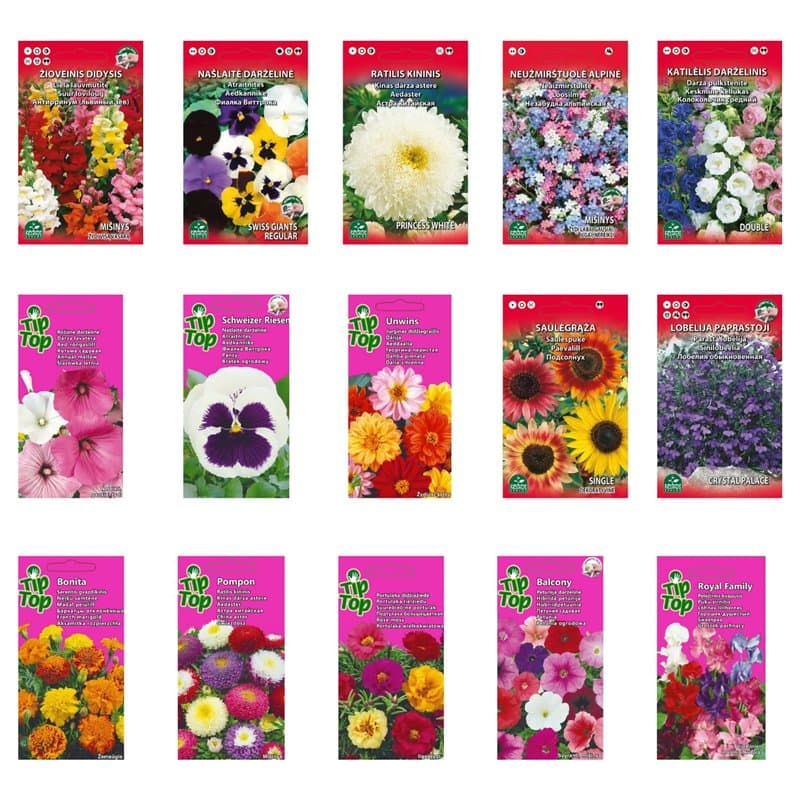 Nojus - Lot de graines de fleurs - Graines de fleurs 15 variétés - Graines de fleurs annuelles et bisannuelles - 15 paquets - Gr