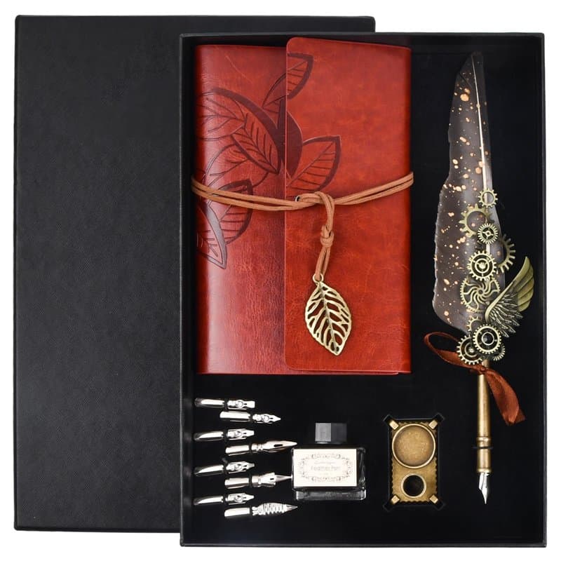 volumoon Stylo Dip à Plume Set, Stylo de Calligraphie Vintage, Ensemble de Plume d'Oie Calligraphie avec Dip Pen, 8 Pointes Rech