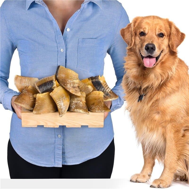 Sabots de veau séchés pour chiens, anneau de dentition faible en gras et équilibré - idéal pour les soins dentaires et la santé