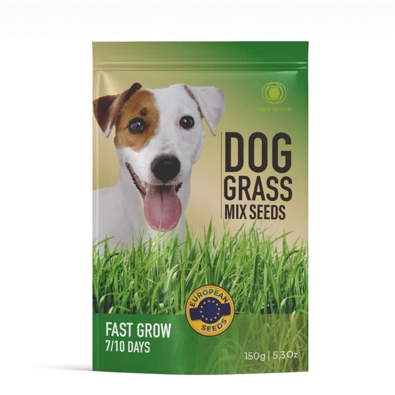 R&R SHOP - Mélange de graines de gazon pour chiens, croissance rapide pour un chien heureux, graines européennes de haute qualit
