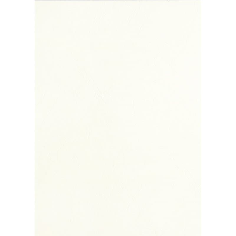 PAVO Boîte de 100 Plats de couvertures A3 grain cuir 250 g Blanc