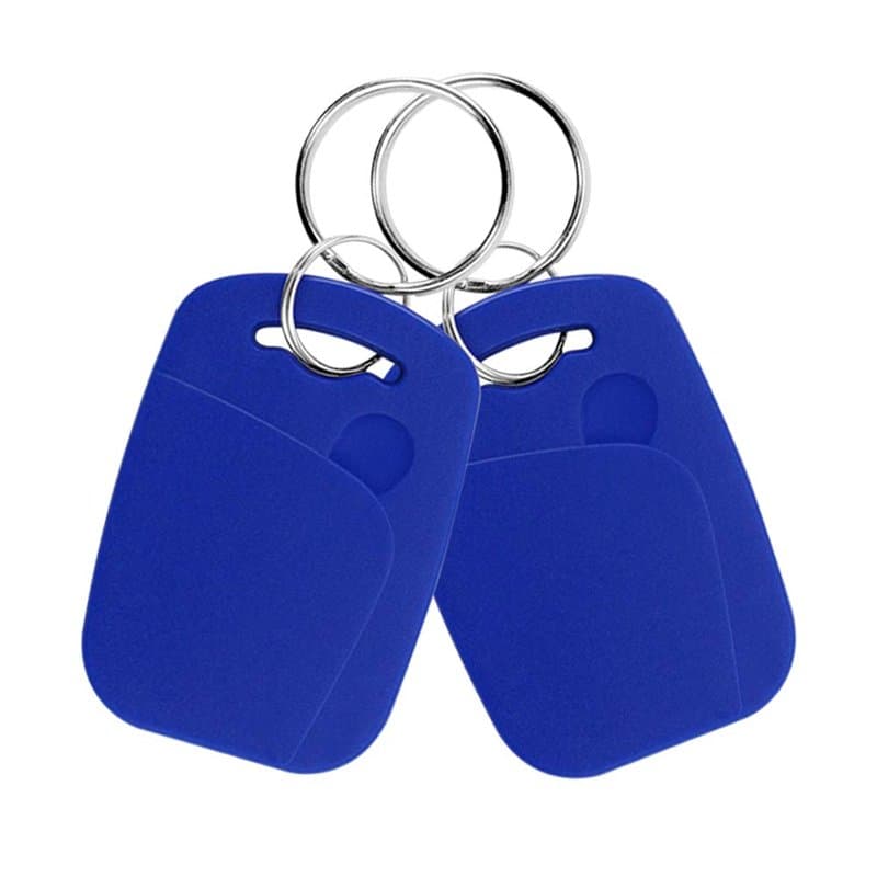 FTSTech 10pcs Porte-clés RFID Double Fréquence 125KHz et 13,56MHz 2-en-1 Porte-clés Composite UID Réinscriptible Utilisé pour Co
