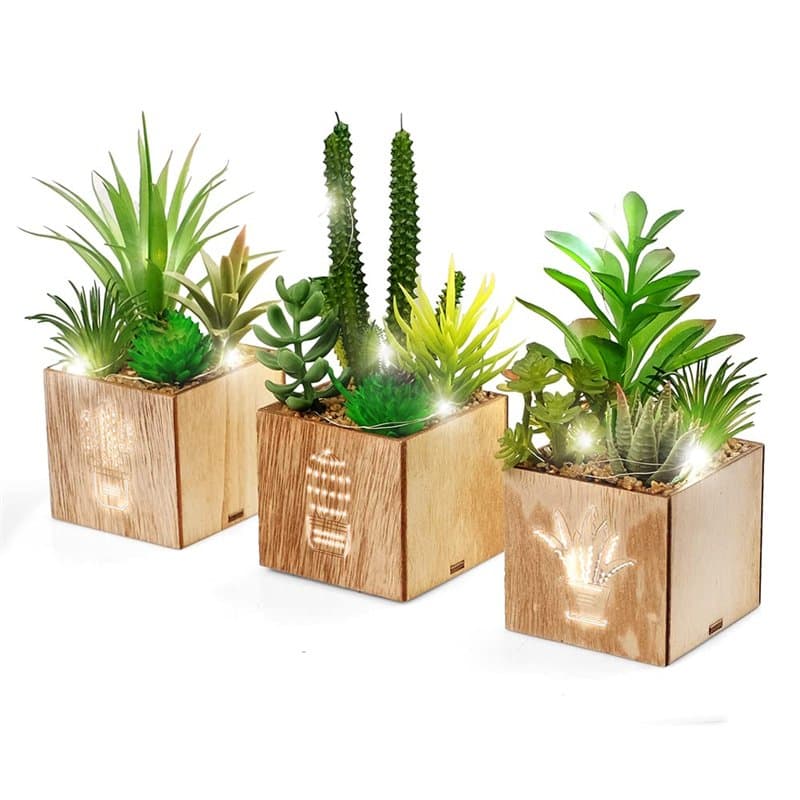 BEGONDIS Lot de 3 plantes succulentes artificielles avec lumières LED dans une boîte en bois, plantes artificielles en plastique
