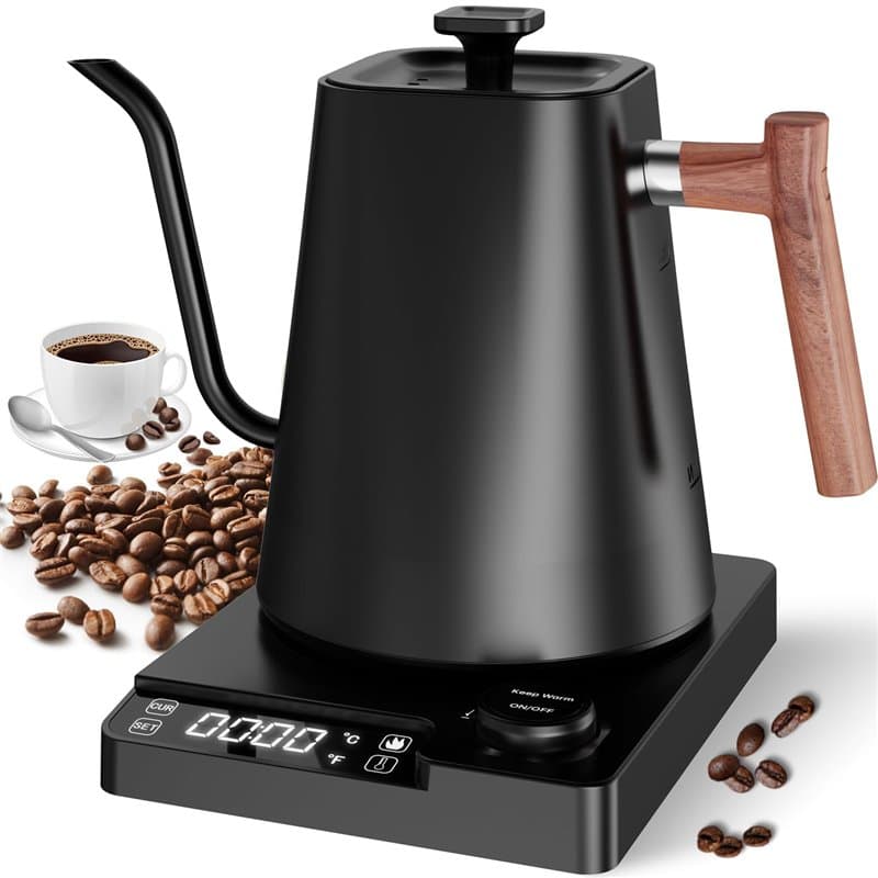 Bouilloire électrique col de cygne avec cafetière et théière en acier inoxydable, contrôle de la température, chauffage rapide,