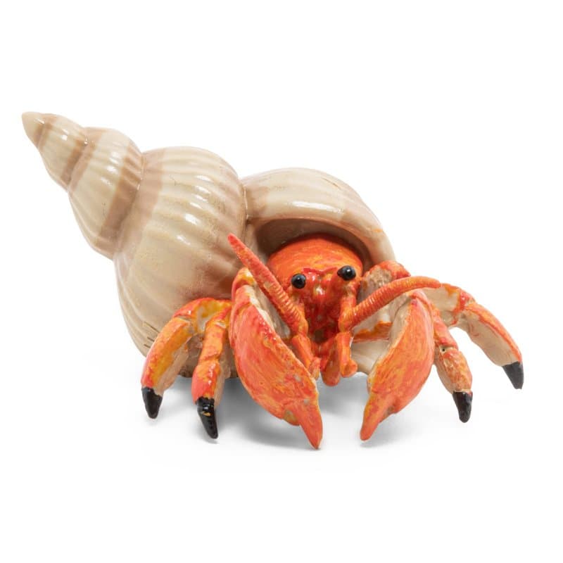 Papo - Figurine Animal - Bernard l'hermite, Découverte Marine, Jouet Enfant dès 3 Ans - Aventure sous-Marine Peinte à la Main po