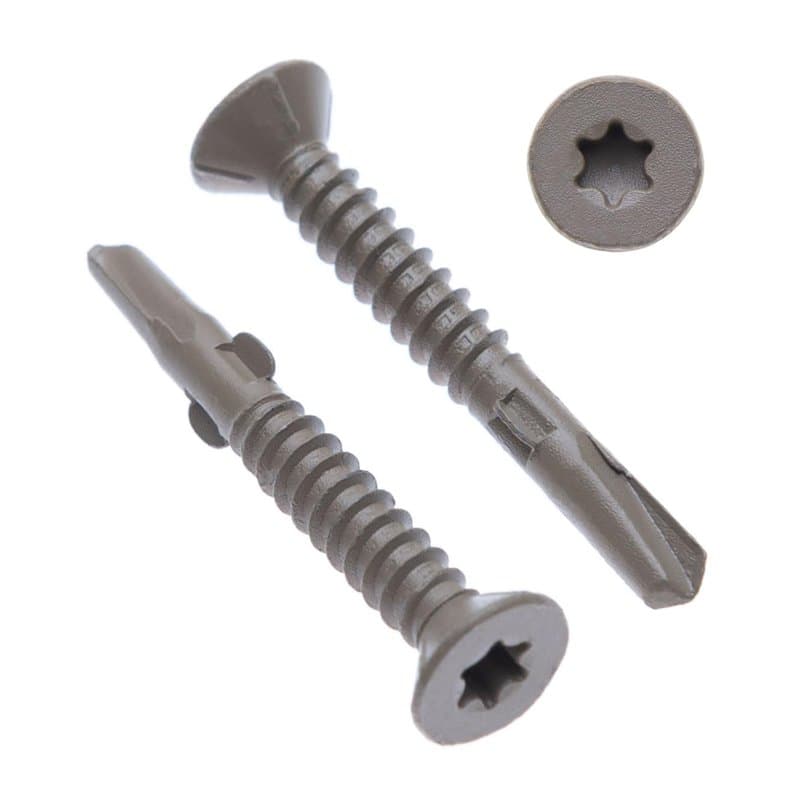 Vis à Métal 6.3mm Autotaraudeuses Torx à Tête Plate Autoperceuse (lot de 100) Utilisation Extérieure Avec Protection Anti-corros